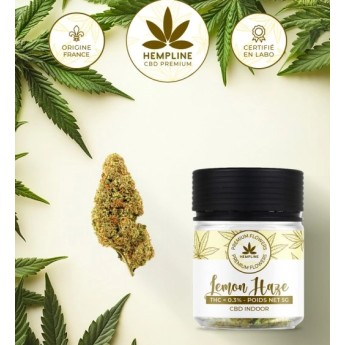 Fleurs de CBD - Hempline - 5g